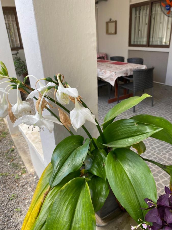 Gardenia Apartments Pereybere Beach Extérieur photo